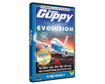 Super Guppy Evolution DELUXE (former 737 Pilot in Command Evolution DELUXE - FSX/P3D)