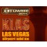 KLAS Las Vegas International Airport Add-On for Tower! 2011